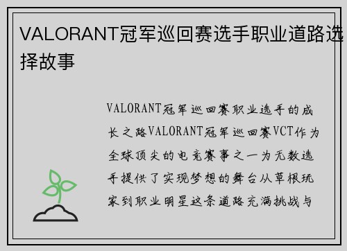VALORANT冠军巡回赛选手职业道路选择故事