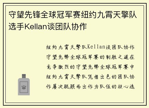 守望先锋全球冠军赛纽约九霄天擎队选手Kellan谈团队协作